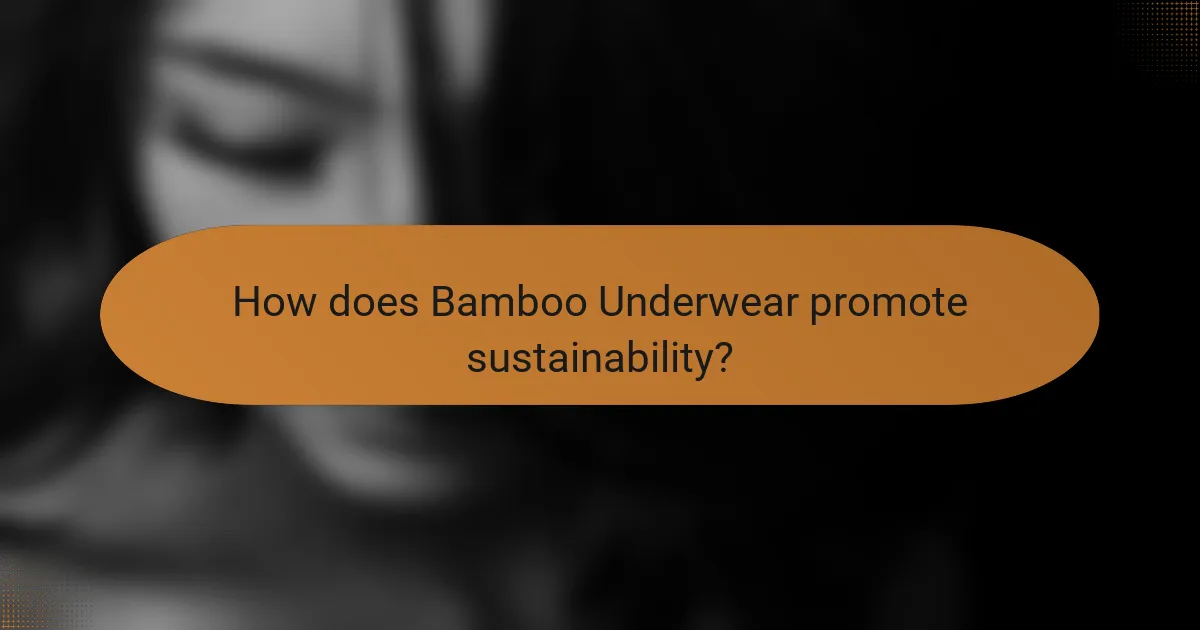 How does Bamboo Underwear promote sustainability?
