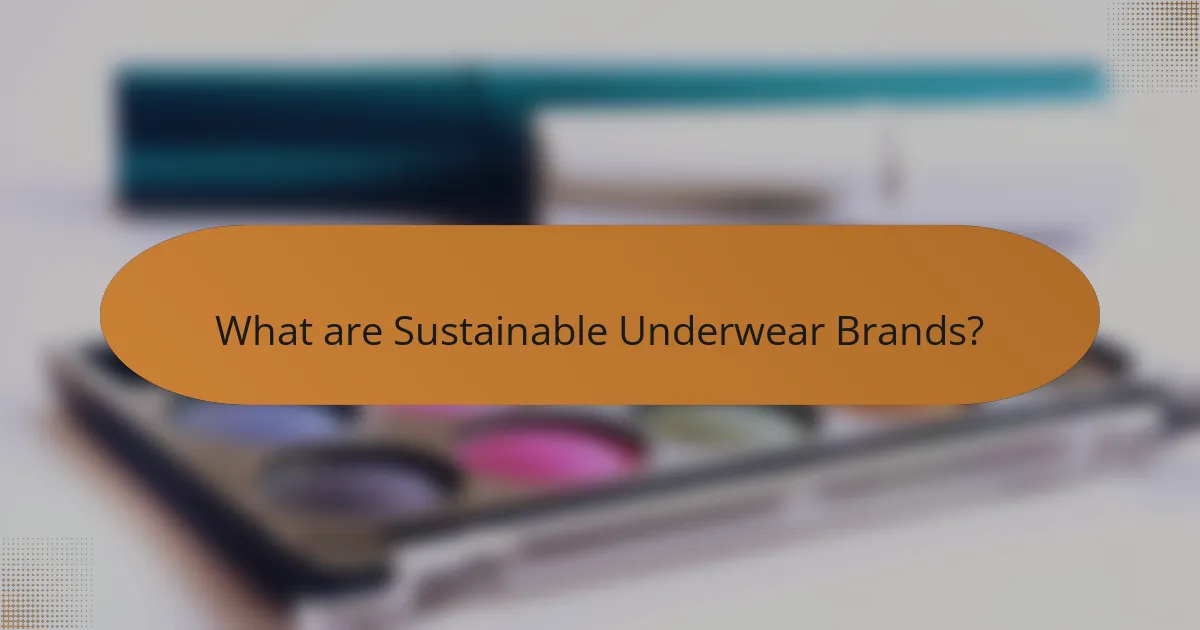 What are Sustainable Underwear Brands?