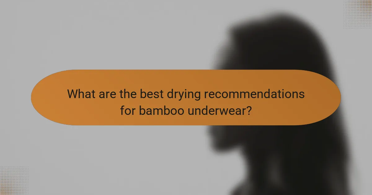 What are the best drying recommendations for bamboo underwear?