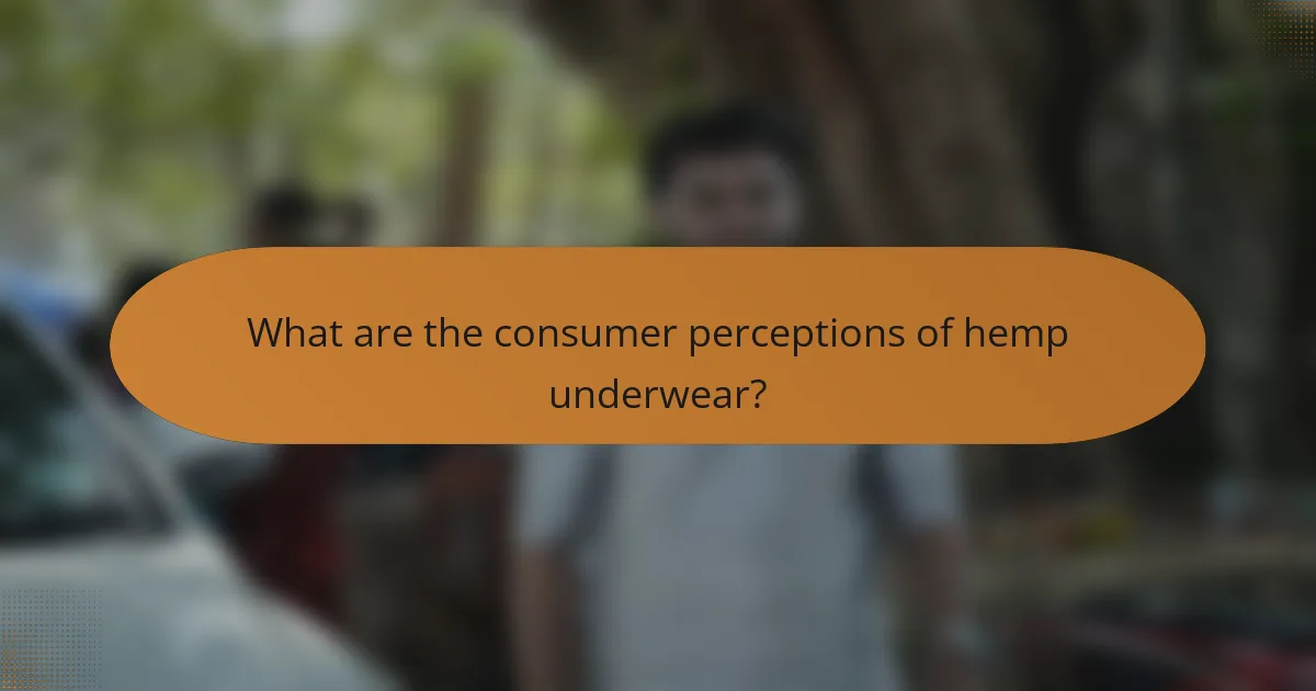 What are the consumer perceptions of hemp underwear?