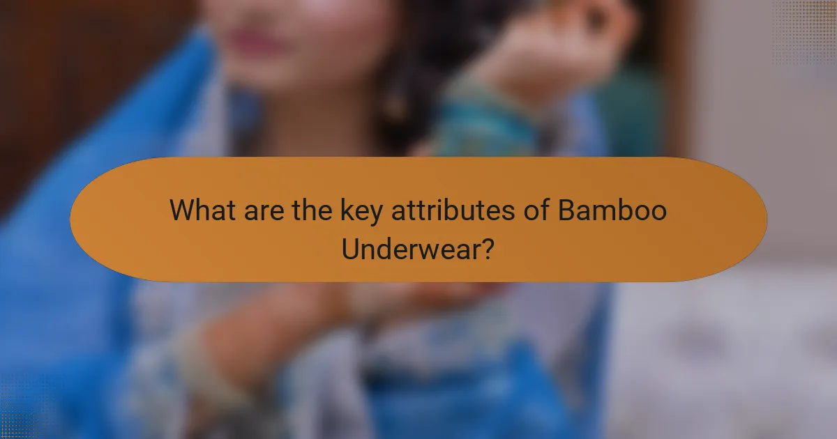 What are the key attributes of Bamboo Underwear?