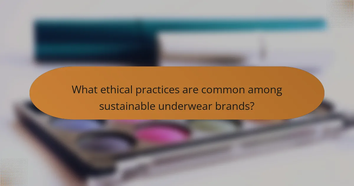What ethical practices are common among sustainable underwear brands?