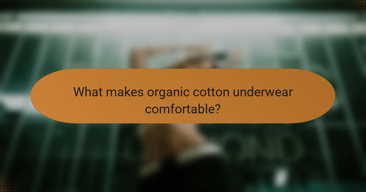What makes organic cotton underwear comfortable?